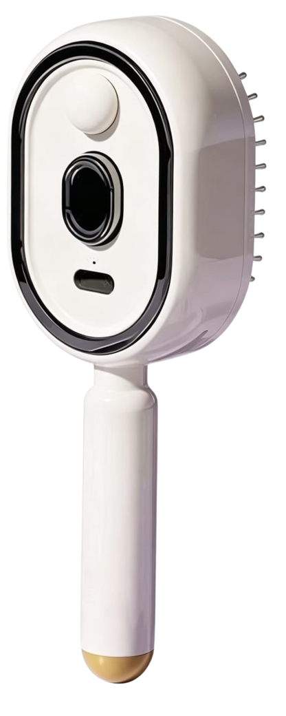 Brosse vapeur intelligente 3 en 1